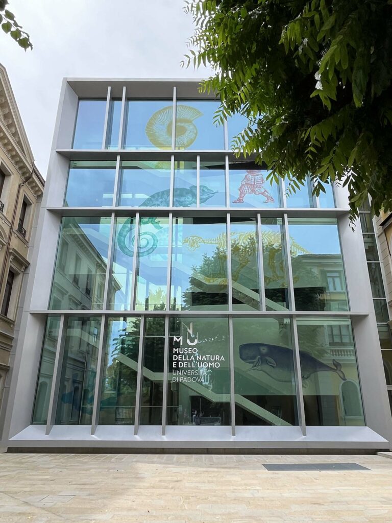 Science Museum Center Palazzo Cavalli gallery5