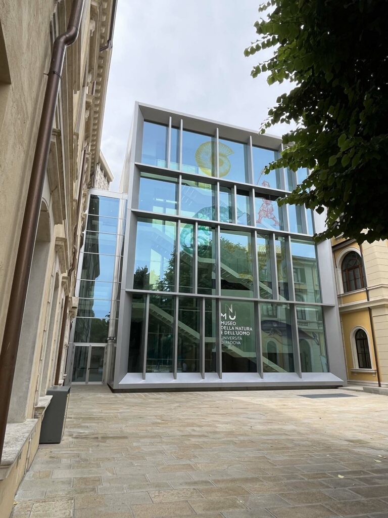 Science Museum Center Palazzo Cavalli gallery6